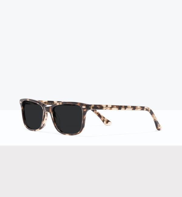 Leopard--angled_image_sun