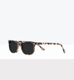 Leopard--angled_image_sun