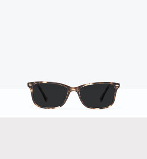 Leopard--front_image_sun