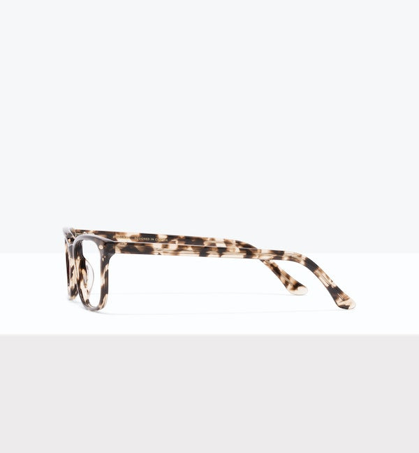 Leopard--side_image