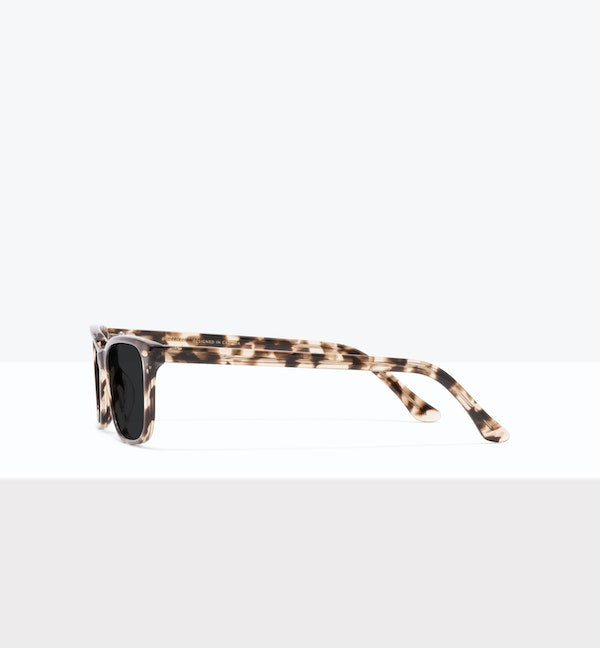 Leopard--side_image_sun