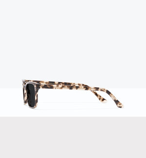 Leopard--side_image_sun