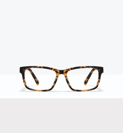 Tortoise Matte--front_image