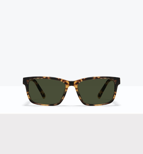 Tortoise Matte--front_image_sun