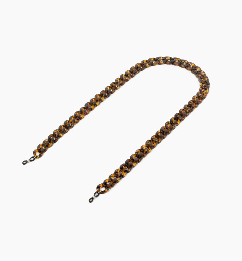 Tortoise--front_image