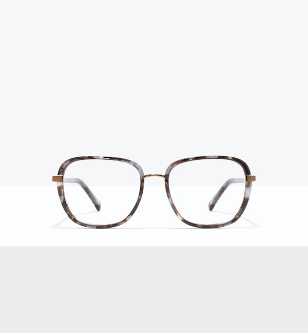 Blue Tort--front_image