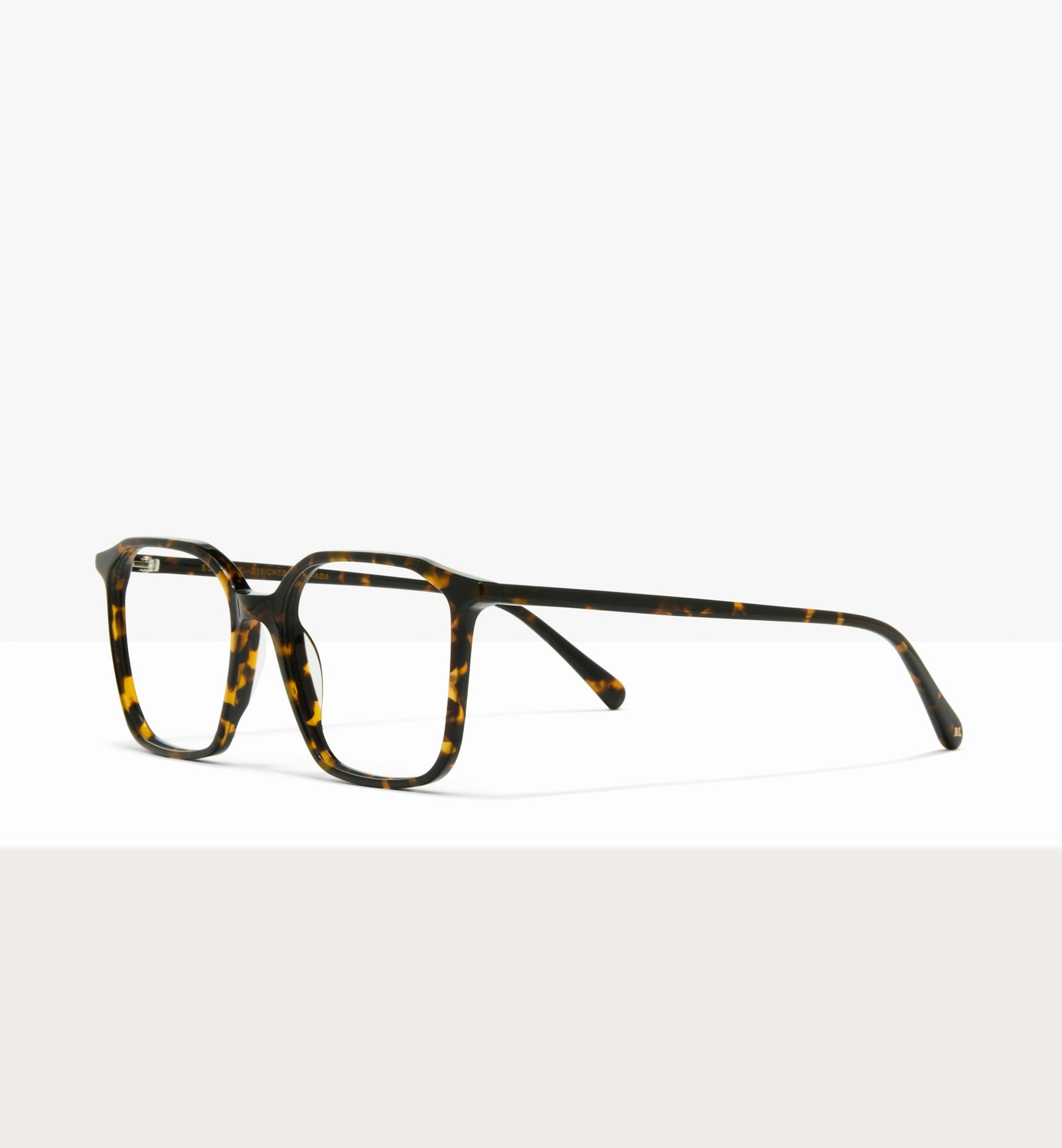 Brown Tort--angled_image