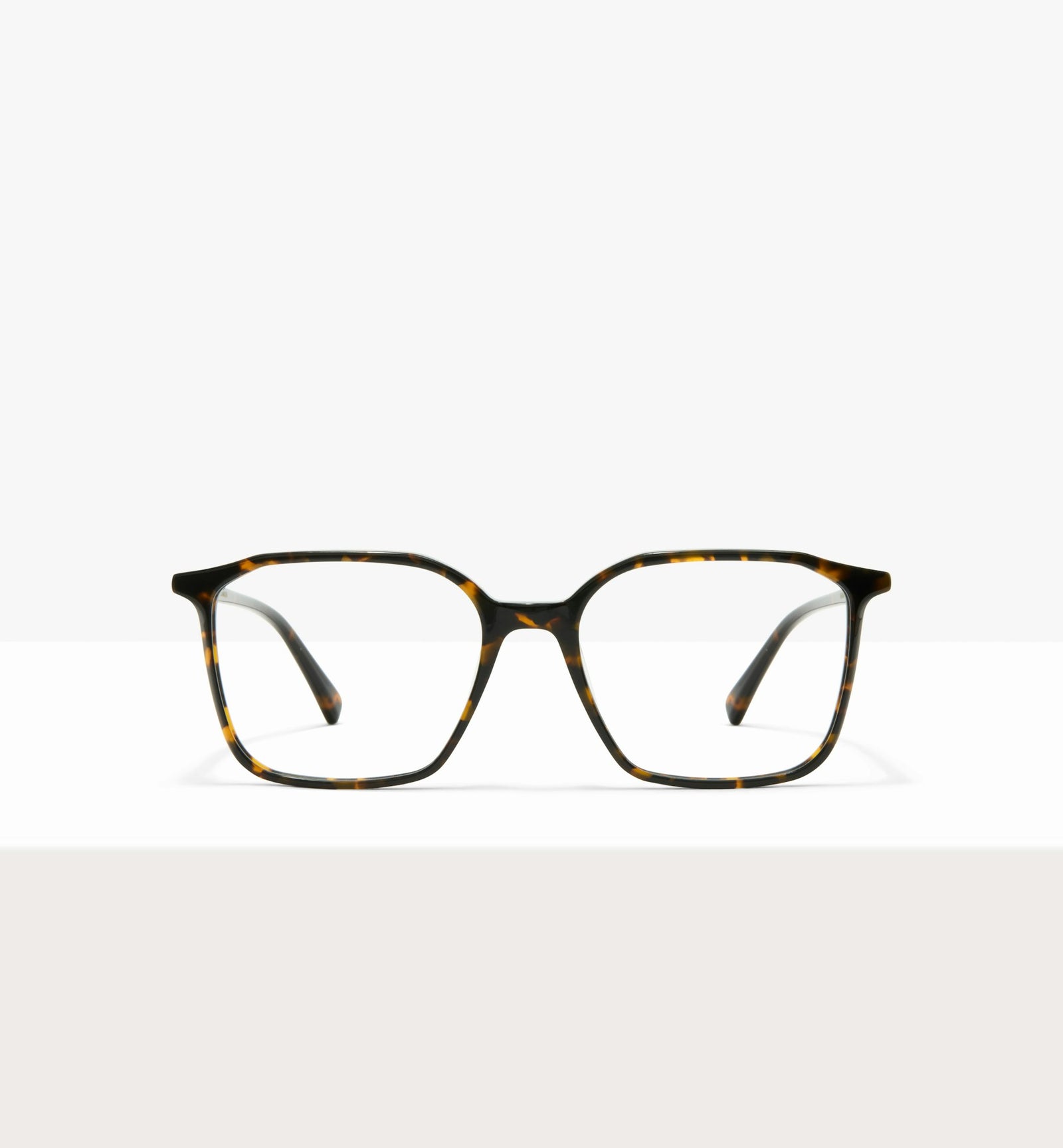 Brown Tort--front_image