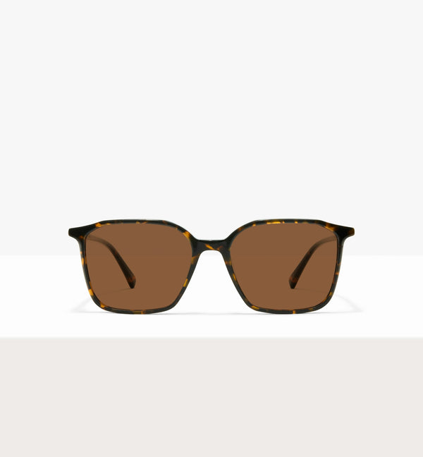 Brown Tort--front_image_sun