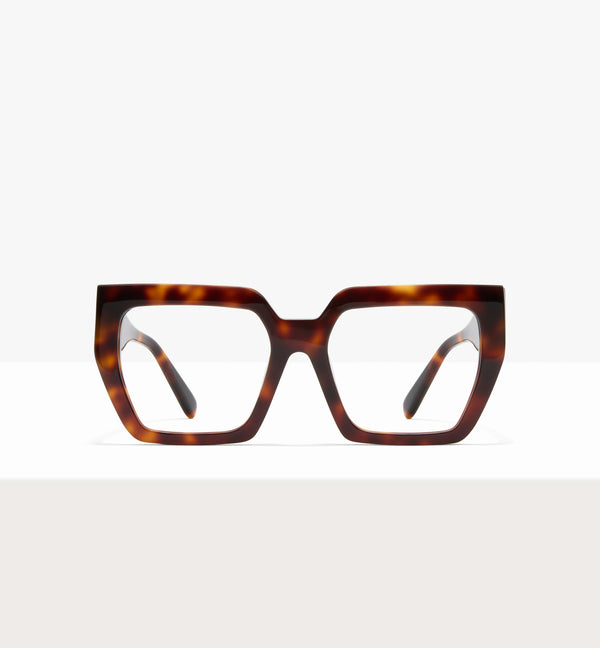 Dark Brown Tort--front_image