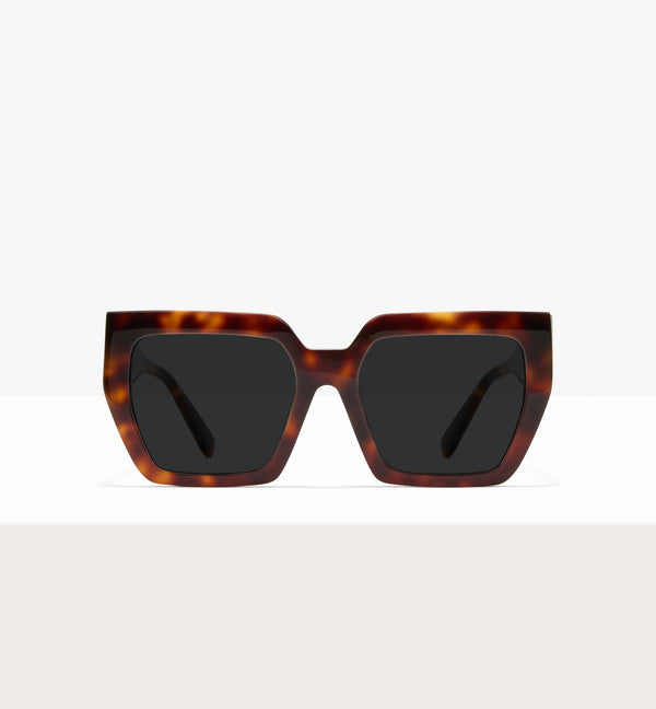 Dark Brown Tort--front_image_sun