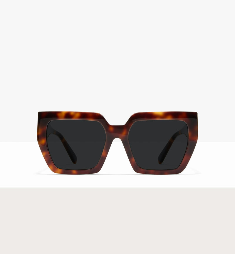 Dark Brown Tort--front_image_sun