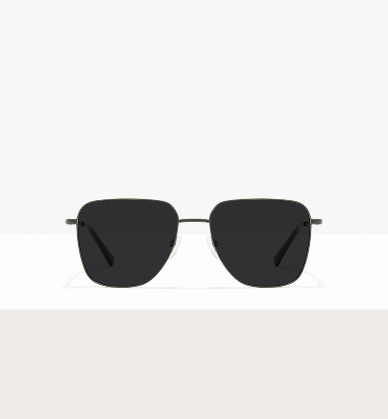 Tortue bleue--front_image_sun