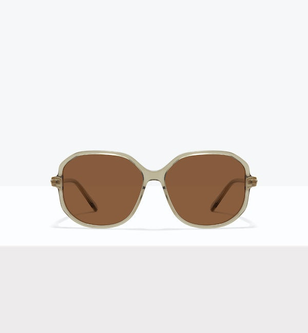 Fern--front_image_sun