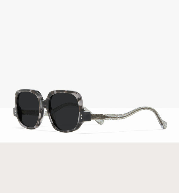 Grey Tort--angled_image_sun