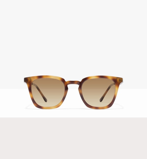 Ageless Tort--front_image_sun