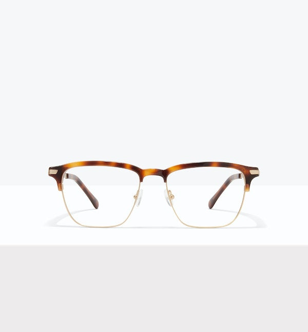 Tortoise--front_image