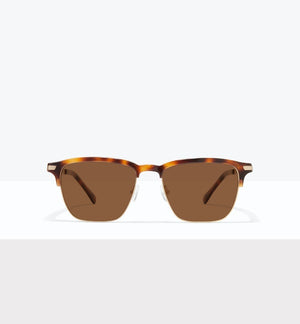 Tortoise--front_image_sun