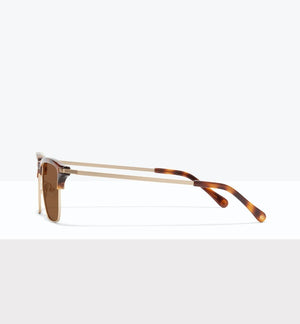 Tortoise--side_image_sun