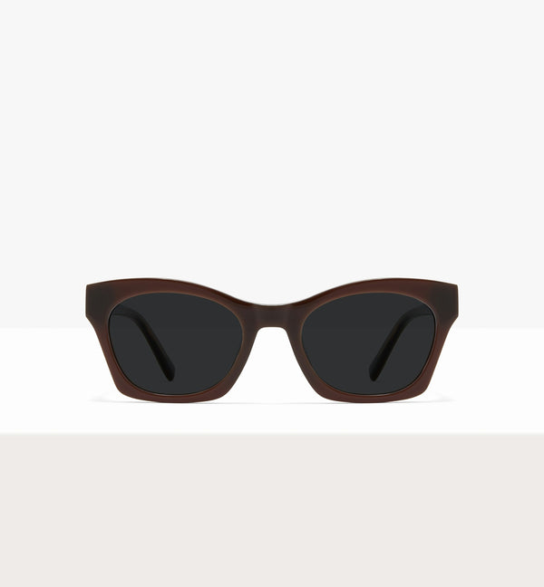 Cocoa--front_image_sun