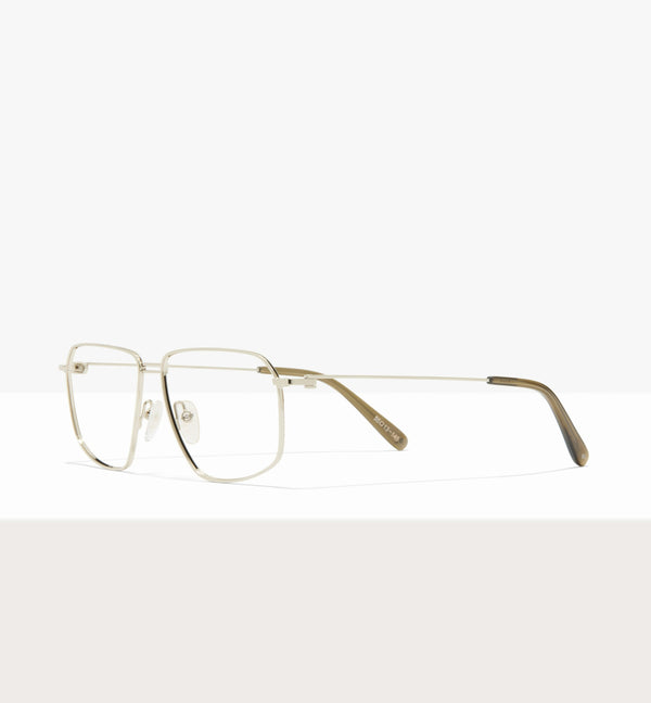 Silver--angled_image