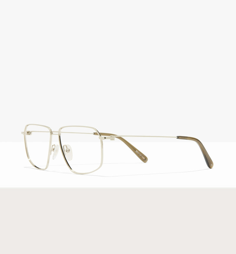 Silver--angled_image