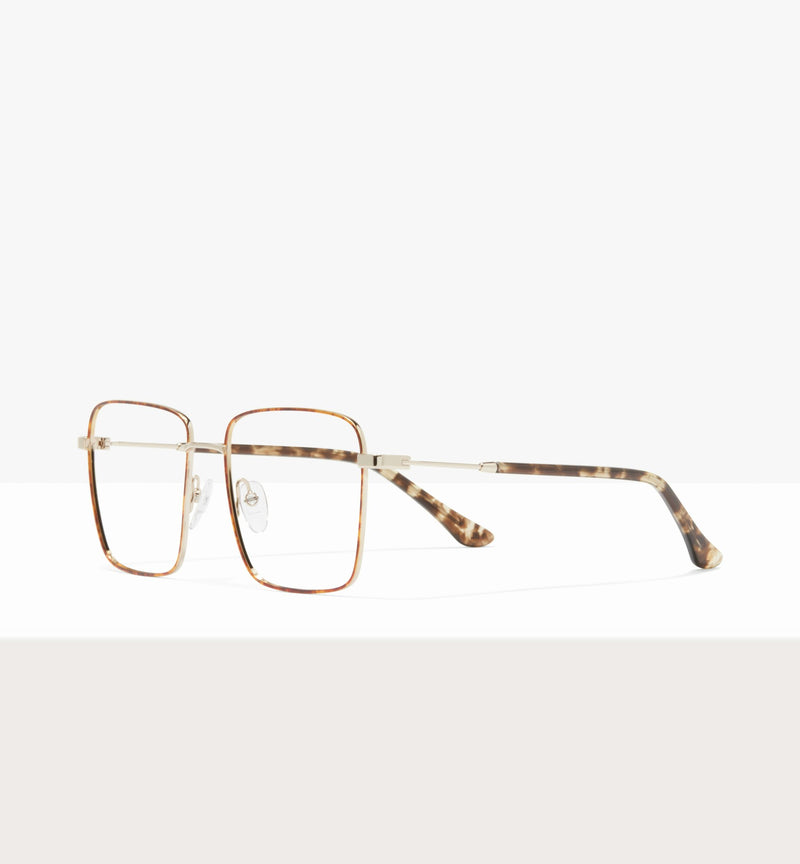 Léopard--image angulaire