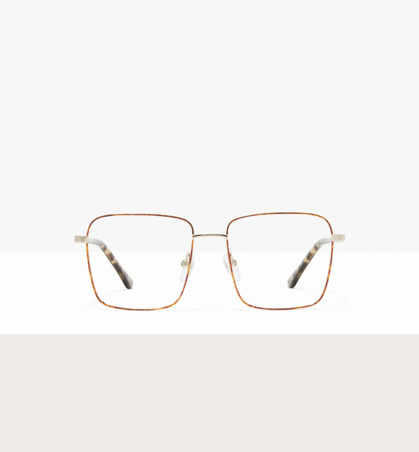 Léopard-avant_image