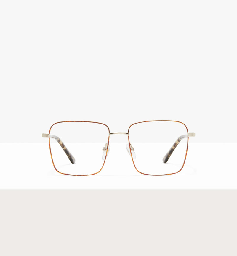 Léopard-avant_image