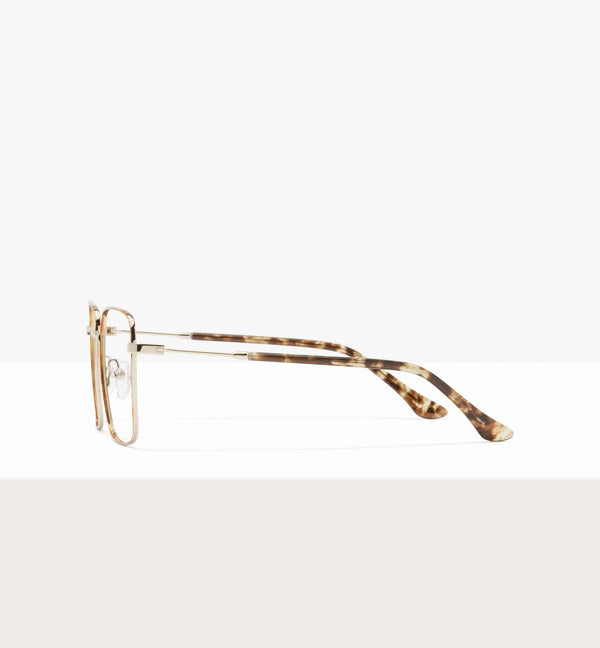 Léopard--side_image