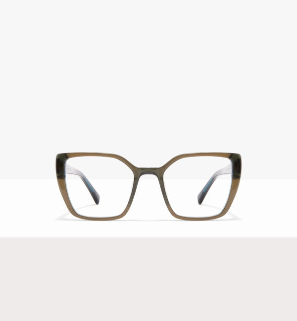 Succulent--front_image