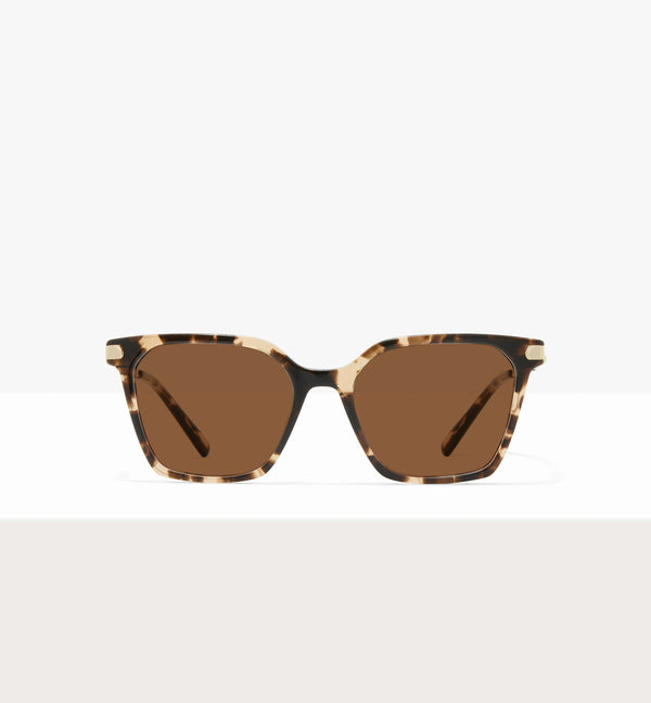 Leopard--front_image_sun