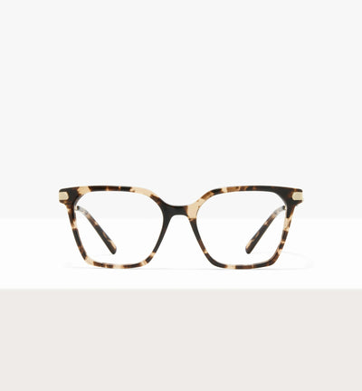Leopard--front_image