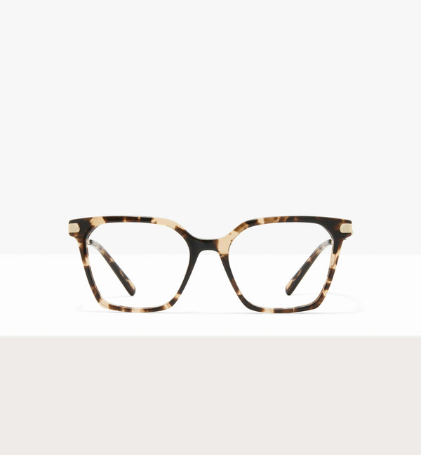 Leopard--front_image