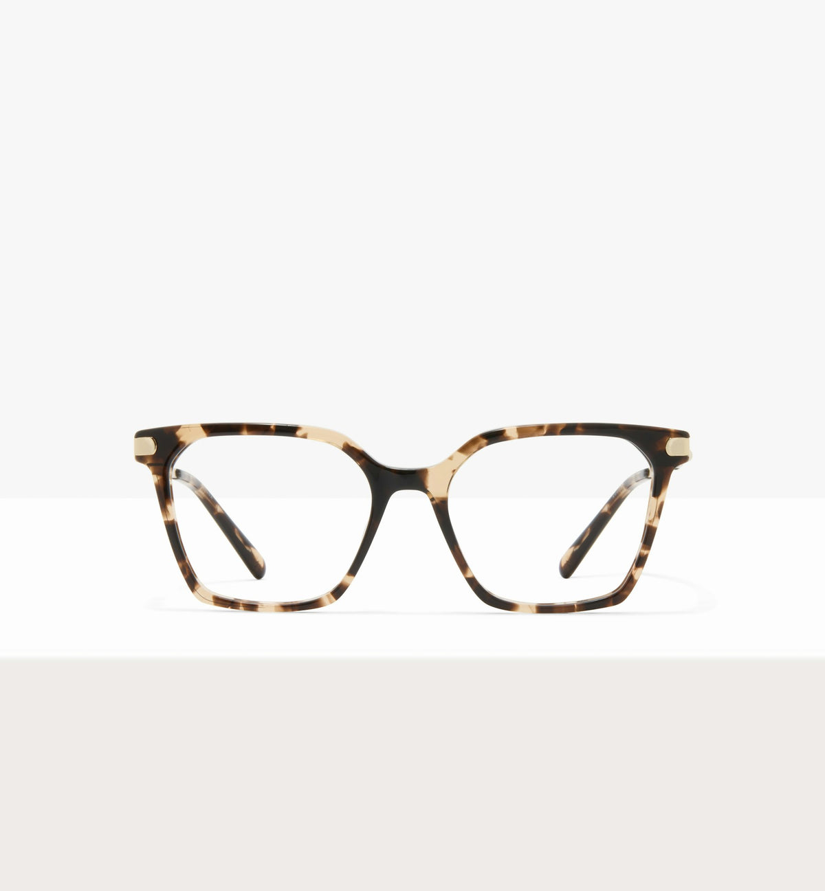 Leopard--front_image