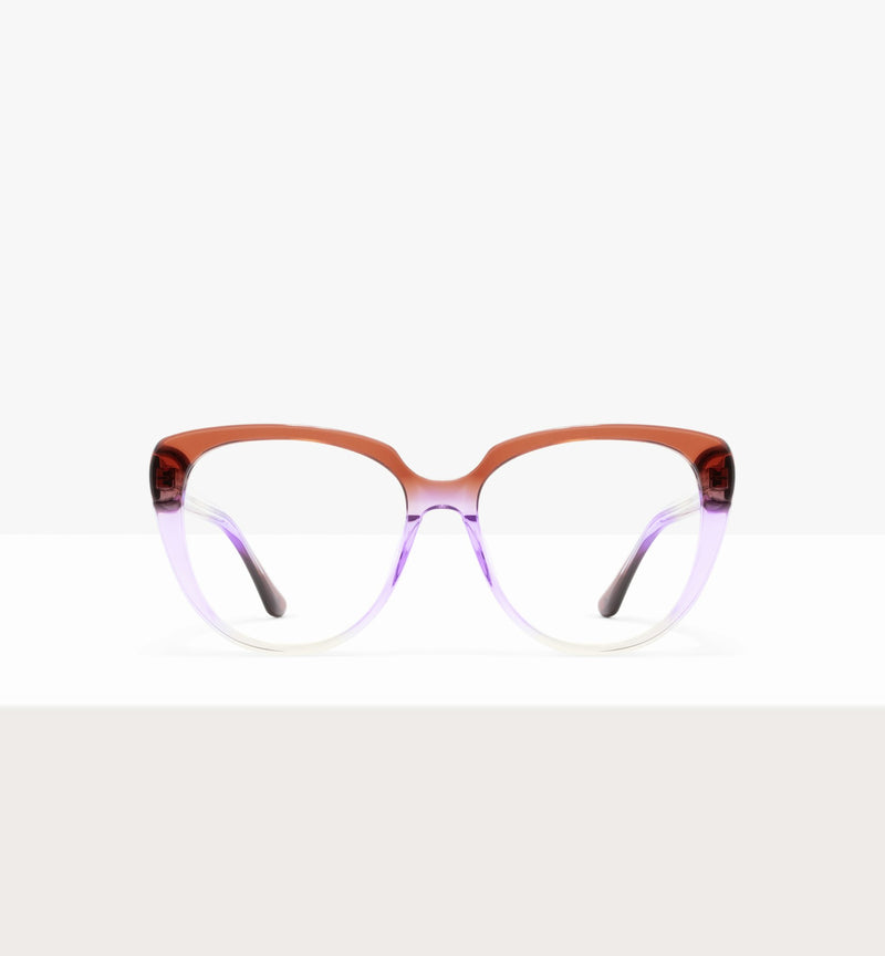 Rainbow Haze-avant_image