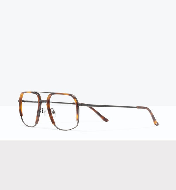 Tortoise--angled_image