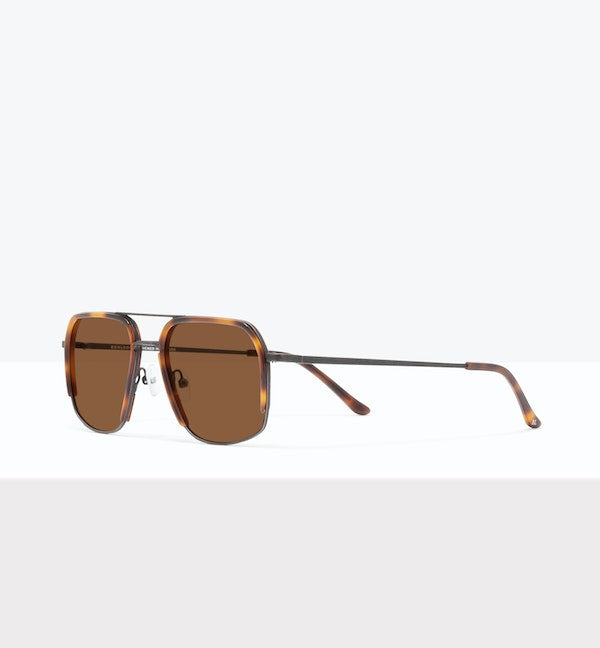 Tortoise--angled_image_sun