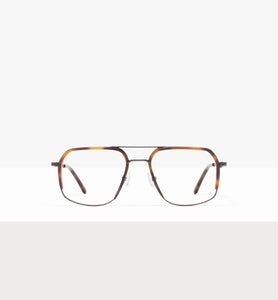 Tortoise--front_image