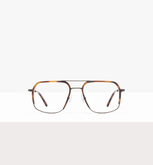 Tortoise--front_image