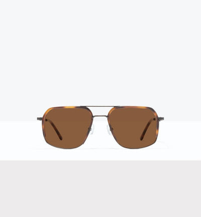 Tortoise--front_image_sun