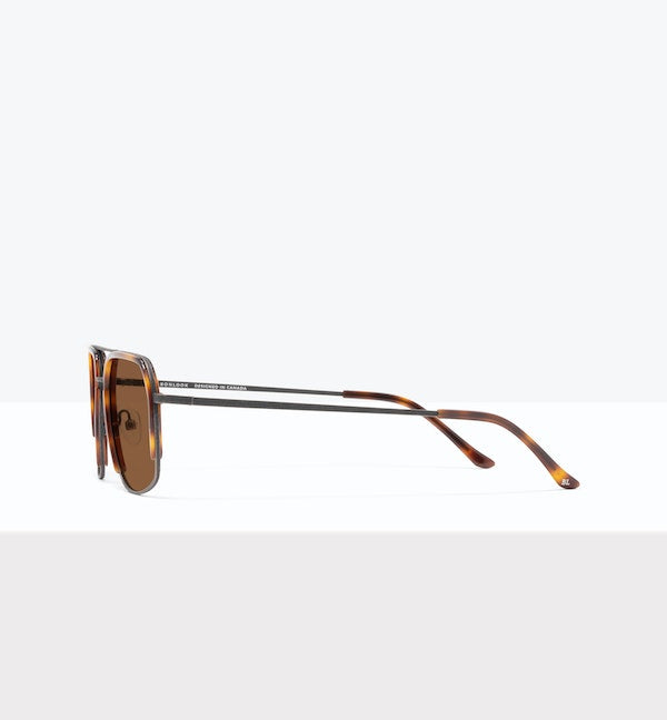 Tortoise--side_image_sun