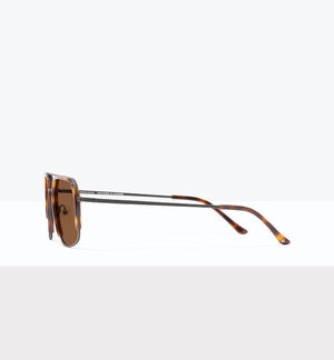 Tortoise--side_image_sun