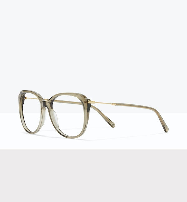 Fougère -- image en angle