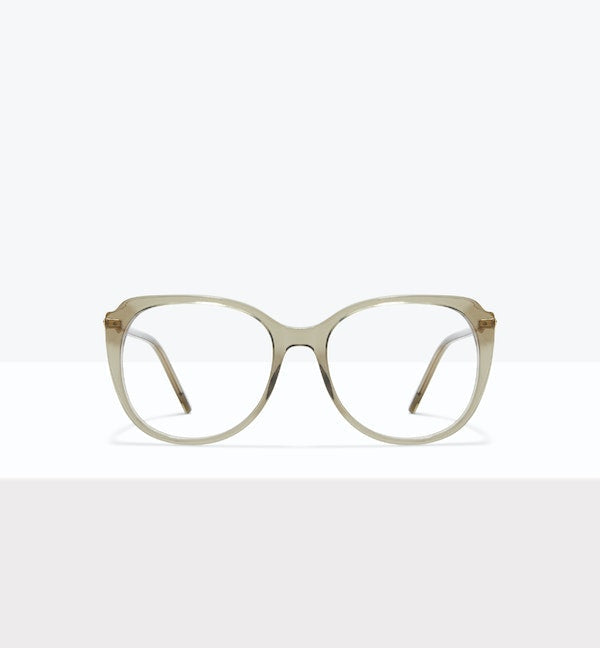 Fougère -- image principale