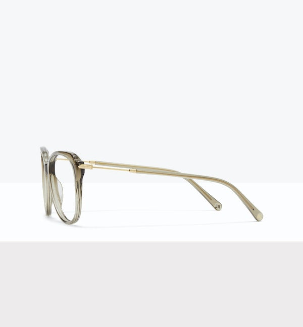 Fougère -- image latérale