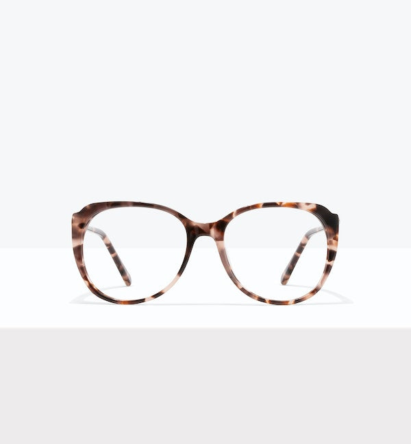 Reef Tort -- image principale