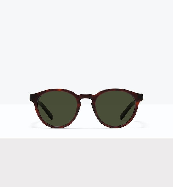 Écaille mat -- image_de_face_soleil