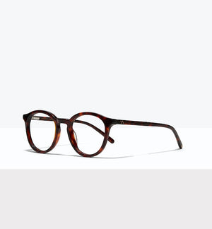 Tortoise--angled_image