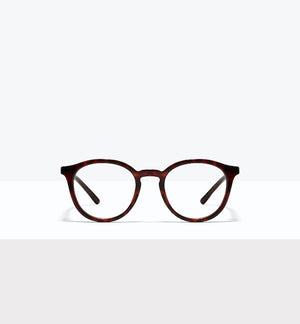 Tortoise--front_image